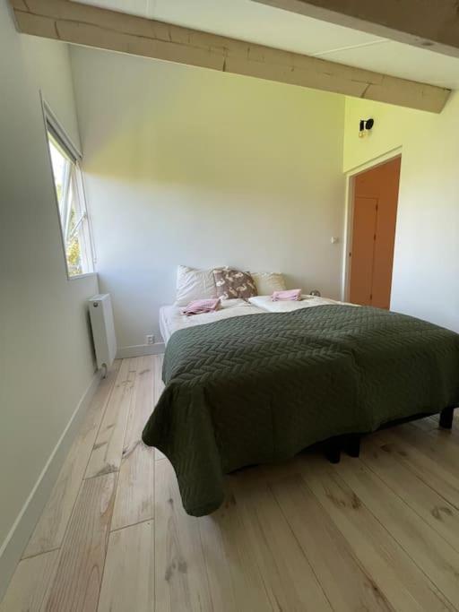 Modern Beach House For 12 Pers! With Jacuzzi Julianadorp Extérieur photo